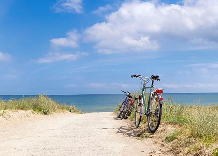 Bicycles by the beach